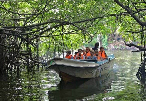 children in safety jackets taking a boat safari in the mangroves of Madu Rover in Sri Lanka