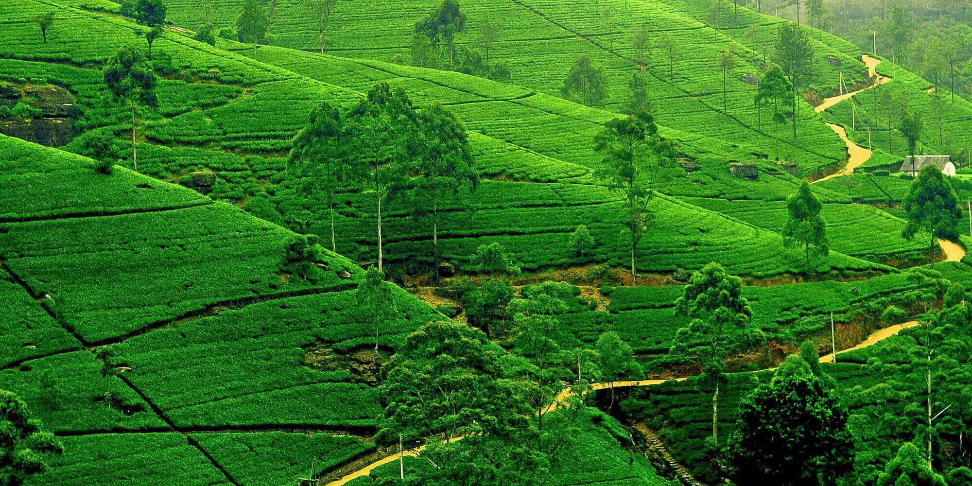 BEST of Sri Lanka : 15 Amazing Sights & Experiences