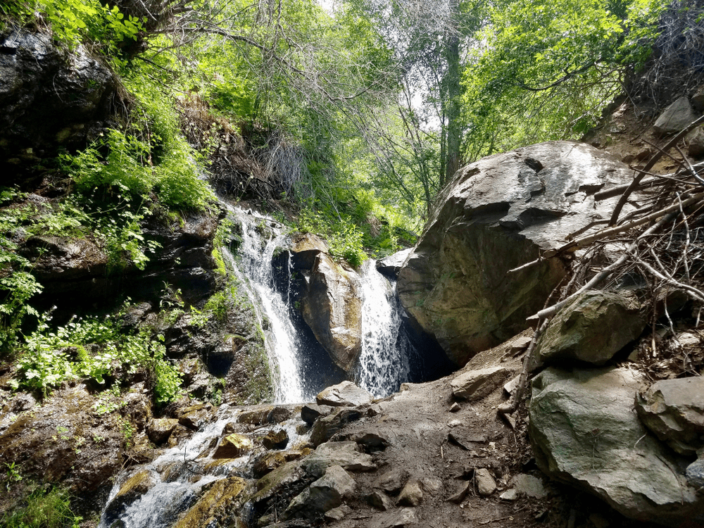 Small waterfall cascading through a lush Sri Lankan village landscape a tranquil scene showcasing the natural charm of a hidden srilankan waterfall.