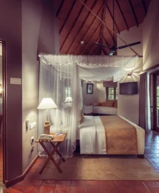 Cinnamon Wild in Yala
