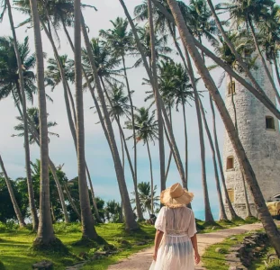 Journey to Galle Lighthouse via a tranquil palm path. Witness Islandwyde’s idyllic sri lanka holiday packages tours.