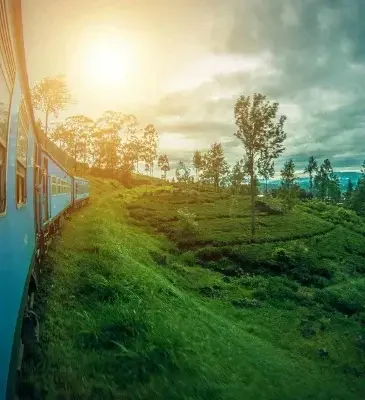 Scenic rail trips through lush green hills, offered by Islandwyde Travel Agents in Colombo, Sri Lanka